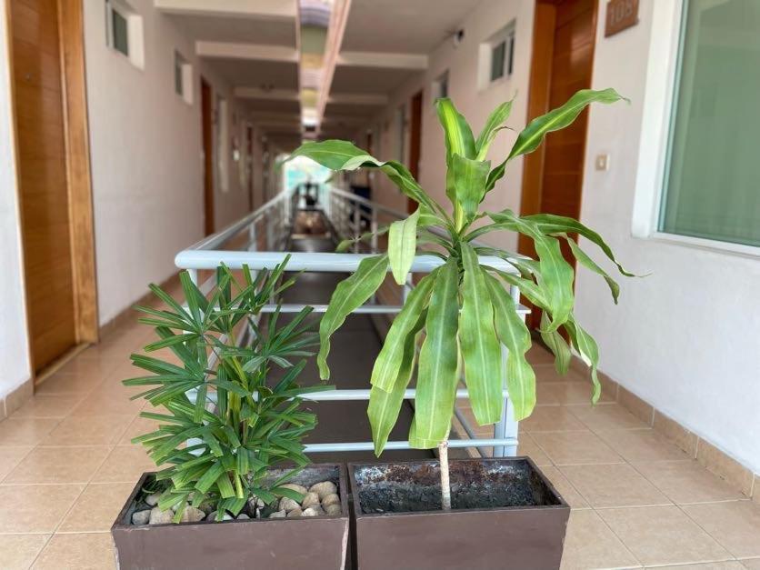 Hotel Santo Domingo Express Villahermosa Eksteriør billede
